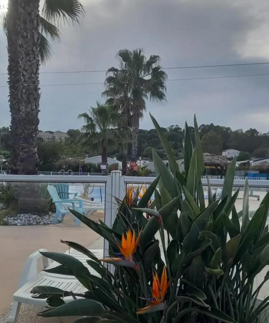 Azur072 Hotel Frejus Campsite